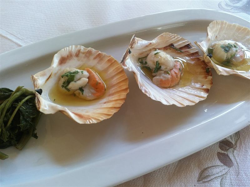 Scallops served in their shells