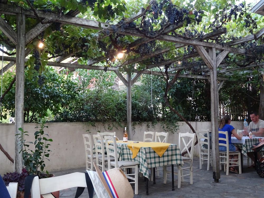 The vine-covered pergola over the garden tables